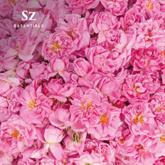 Sz Essentials Rose Absolute packaging label showing pure Bulgarian rose essence.