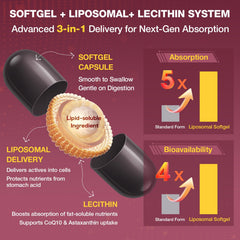 Talyvoriathor Liposomal Red Yeast Rice softgels with CoQ10 for heart support.