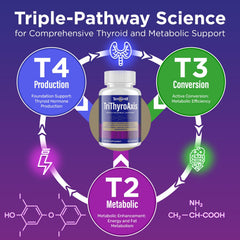Ingredient panel highlighting kelp, L-tyrosine, and selenium supporting T4 production.