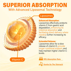Tcemundry Liposomal Vitamin C Gummies jar emphasizes sealed design for enhanced absorption.