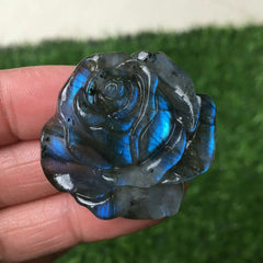 TEAMWILL crystal skull serves as energy generator for space clearing.