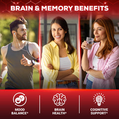 Herbal ingredients close-up within Tenmido 8in1 Brain Health blend
