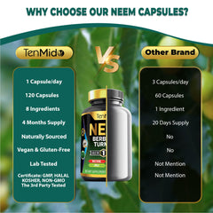 Illustration of the 8in1 formula and key extracts.