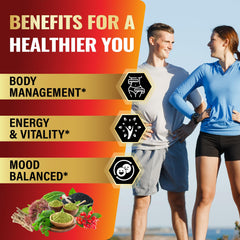 Tenmido ingredients collage featuring Moringa, Sea Moss, and Ashwagandha
