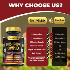 Tenmido Mushroom Complex 30:1 Lion's Mane extract visual emphasis.