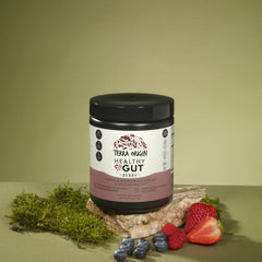 Terra Origin Healthy Gut Powder can label highlighting non-GMO and clean ingredients