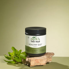 Terra Origin Healthy Gut scoop beside the label suggests mint flavor and easy mixing.