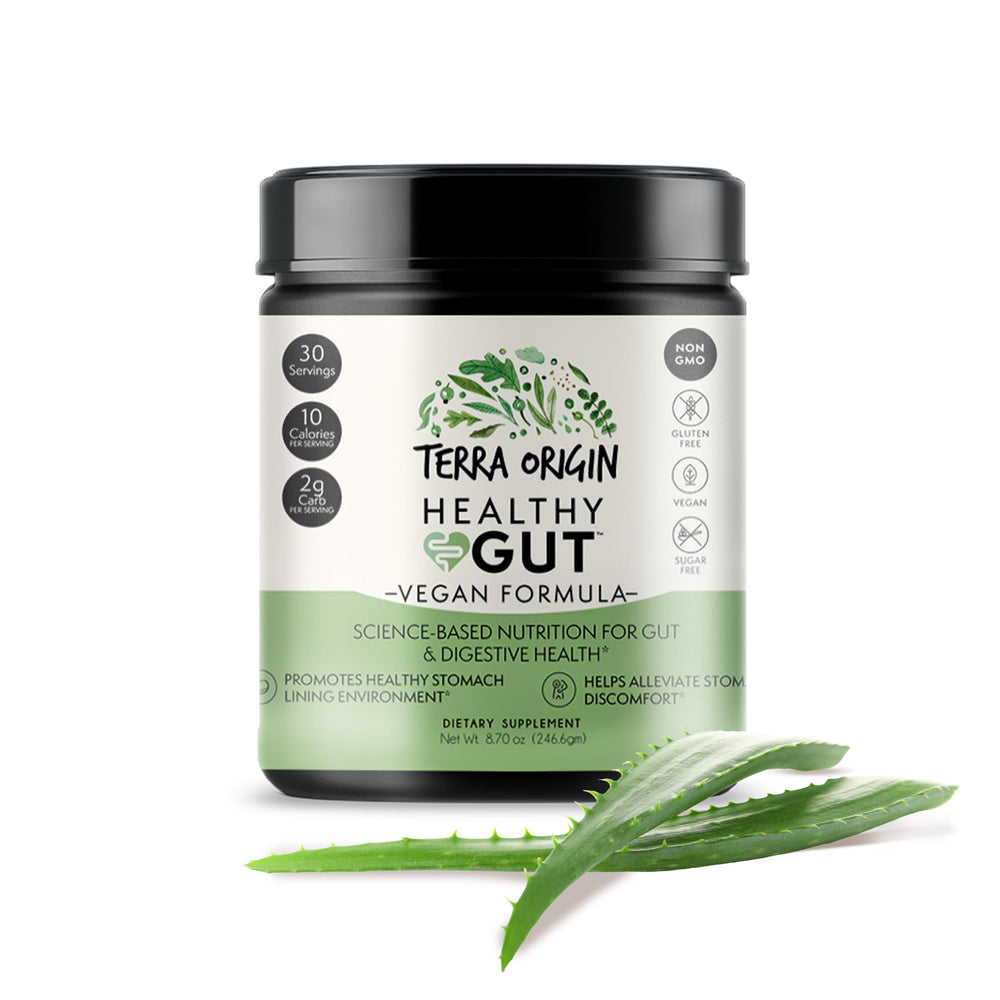Terra Origin Healthy Gut Vegan Formula bottle with label highlighting daily gut support.