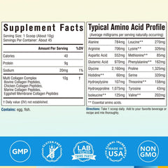 Terranics multi collagen peptides powder scoop shows a 10g serving for balanced intake.