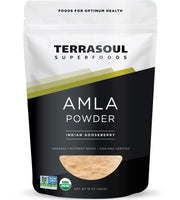 Terrasoul Amla powder bottle showing organic vitamin C rich antioxidant powder