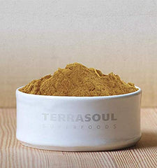 Terrasoul Lion's Mane powder being scooped for easy smoothie addition.