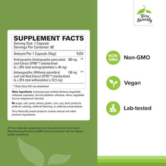 Closeup of Terry Naturally capsules highlighting convenient energy support.