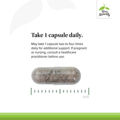 Product image emphasizing HRG80 red ginseng within Red Sage Plus formula.