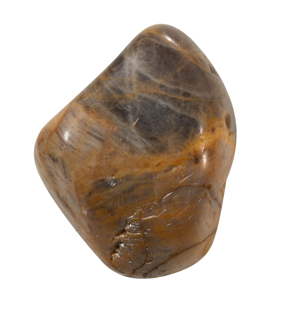 The Chrysalis Stone Black Moonstone tumbled stone with velvet pouch for grounding.