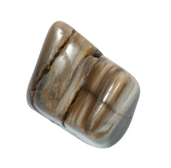 The Chrysalis Stone natural tumbled petrified wood stones with unique textures.