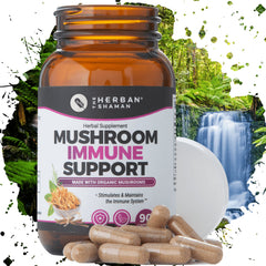 The Herban Shaman immune support bottle with organic capsules for daily immune balance.