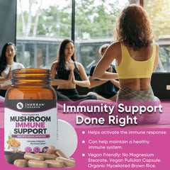 The Herban Shaman reishi-maitake capsules emphasize immune support and natural energy.
