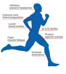 Athlete hydration setup keeps you fueled during long workouts.