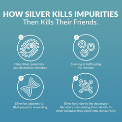 Thrival Labs ProSILVER 16oz glass bottle on kitchen counter
