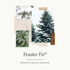 Thymes Frasier Fir candle with gold lid enhances modern decor