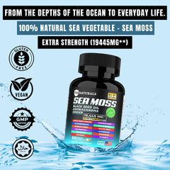TM NATURALS Sea Moss capsules for simple daily intake.