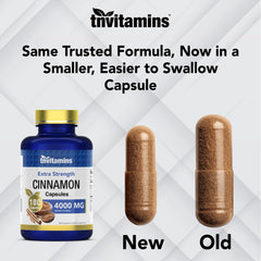 tnvitamins Cinnamon capsules close-up showcasing strong texture and form