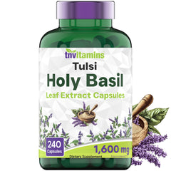 tnvitamins Holy Basil Capsules bottle front showing 240 capsules for daily support
