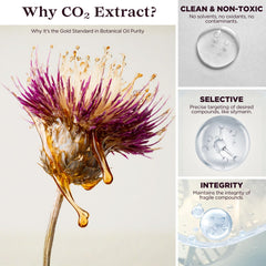TODICAMP Milk Thistle Seed Oil Extract label highlights vegan, non-GMO and gluten-free ingredients.