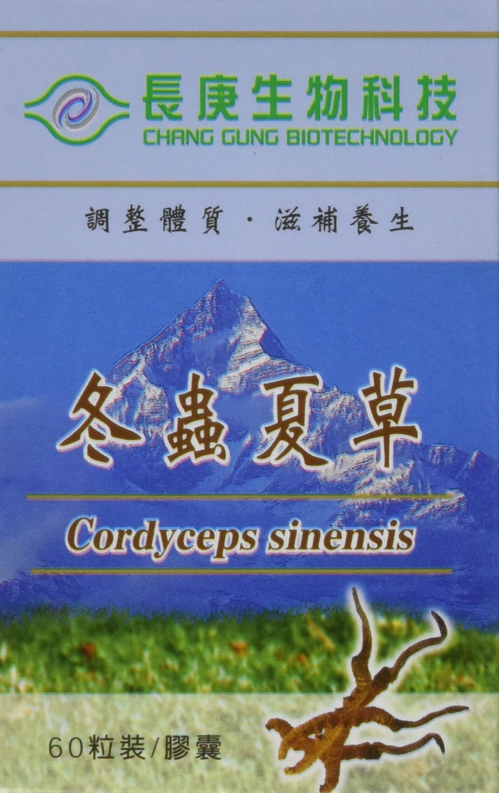 Tonicology Cordyceps Sinensis bottle for daily vitality support.