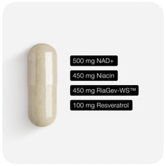 Toniiq NAD+ capsules close-up for easy daily use.
