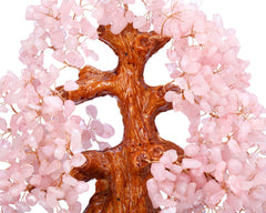 Top Plaza Bonsai Rose Quartz focused on heart chakra and calmer relationships