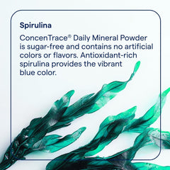Dosing spoon included with Trace Minerals daily mineral powder for simple daily use.