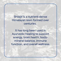 Trace Minerals Shilajit Honey Sticks stick-dipping scene suggests digestive balance