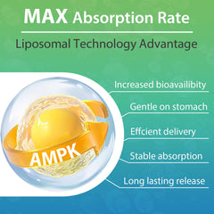 Trasicolor AMPK Activator label detail features berberine, resveratrol, quercetin blend
