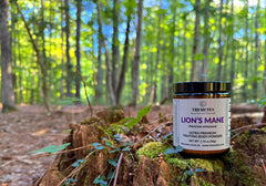 Tremetes Lion’s Mane amber glass jar on shelf preserves freshness.