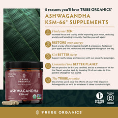 TRIBE ORGANICS Ashwagandha KSM-66 capsules packaging highlights 120-count bottle