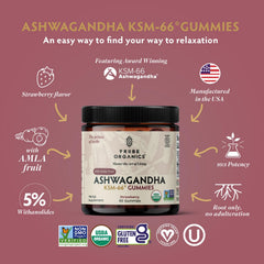 TRIBE ORGANICS Ashwagandha KSM-66 gummies open bottle with chewables ready for daily use
