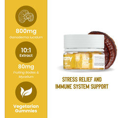 Packaging and label details of Troomy Reishi Calm Gummies