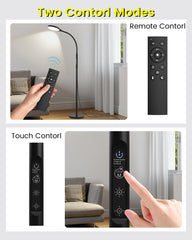 TroupePal 3-height adjustable stand adapts to any space