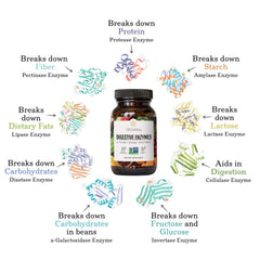 Truvani Digestive Enzymes capsules close-up showing easy-to-swallow form for meals.