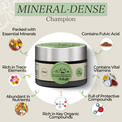 TUBA Himalayan Shilajit origin rock-face highlighting natural mineral source