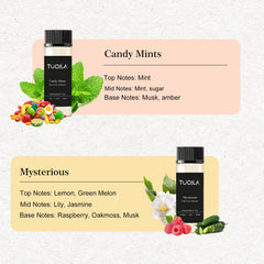 Tuqila Candy Mints scent bottle creates a fresh, inviting home atmosphere