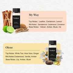 Tuqila Olene diffuser oil bottle for long-lasting fragrance in office