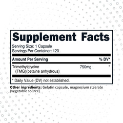 Type Zero Clean TMG label close-up highlighting per-serving dosage and branding.