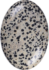 UFEEL Dalmatian Jasper palm stone oval in hand for meditation and grounding