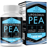 Ulmubra Liposomal PEA bottle front showing premium absorption for daily comfort.