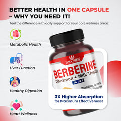 Ultra Herbs Berberine bottle close-up emphasizes purity and potency.