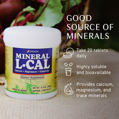 Fermented beet base in Umeken L-Cal for natural mineral sourcing.
