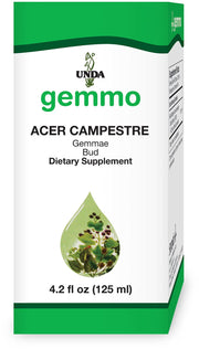 UNDA Gemmo Therapy Acer Campestre buds close-up, pure bud extract suited for daily wellness rituals.