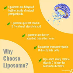Close-up of UpNourish liposomal D3 softgels cap highlighting bone support potential